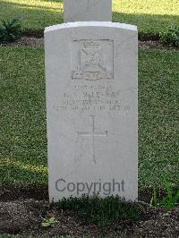 Salonika (Lembet Road) Military Cemetery - McLennan, George Neill